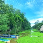 Cảnh đẹp Hậu Giang có gì? Đến Hậu Giang thì chơi gì?