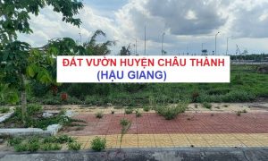 Đất vườn huyện Châu Thành, Hậu Giang: Thông tin nên biết