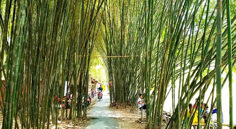 Khu du lịch vườn tre Hậu Giang – Vườn tre đẹp nhất miền Tây
