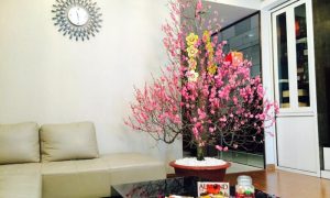 Ý tưởng trang trí phòng khách Tết bằng hoa đơn giản, ấn tượng