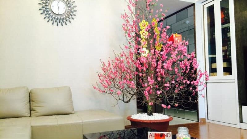 Ý tưởng trang trí phòng khách Tết bằng hoa đơn giản, ấn tượng